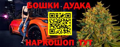 прущие крисы Когалым