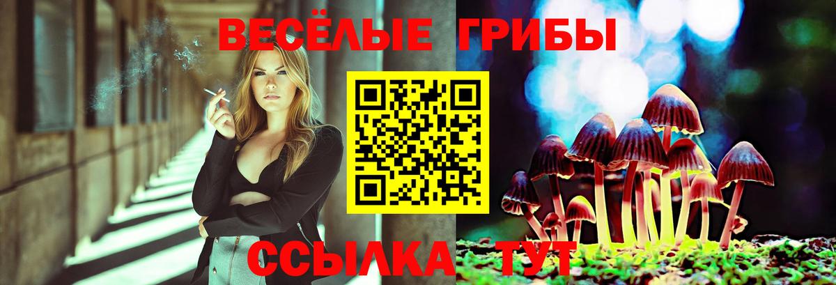 Галлюциногенные грибы Psilocybine cubensis  Вход с VPN  Избербаш 